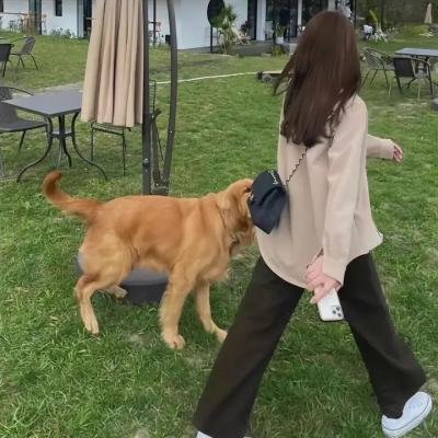 潮汐告白·前传